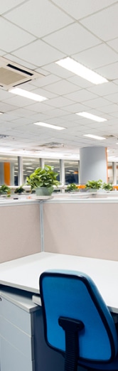 Espace de bureau collaboratif lumineux avec des cloisons basses, des chaises ergonomiques bleues et des plantes vertes pour un environnement de travail agréable et fonctionnel.


